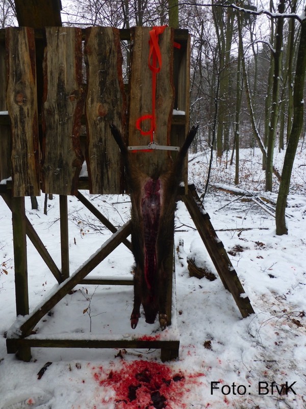 Stacks Image 6